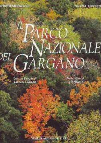 Immagine di PARCO NAZIONALE DEL GARGANO